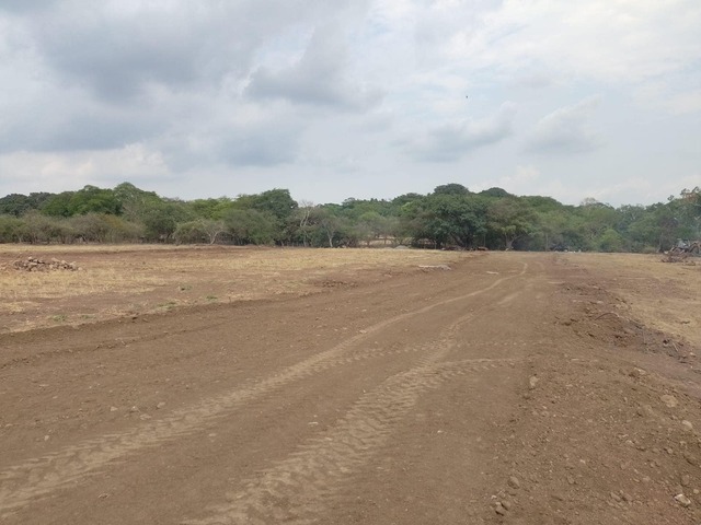 Área para Venta en Comala - 5
