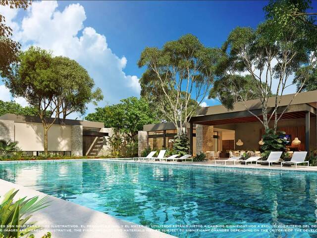 Área para Venta en Playa del Carmen - 4