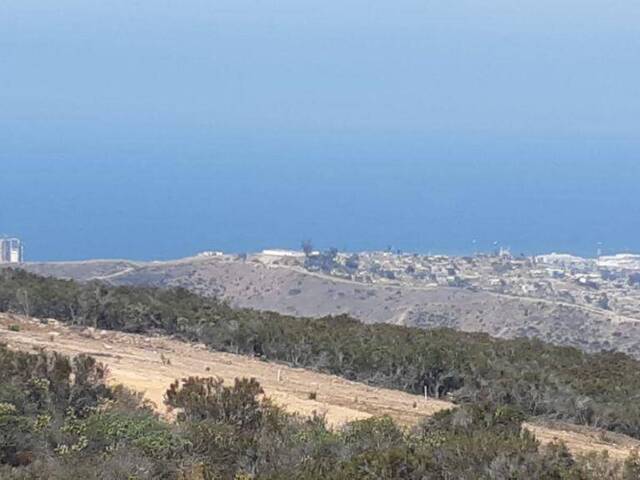 Área para Venta en Ensenada - 4
