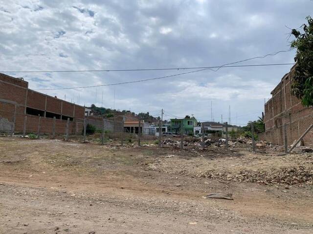 #5303 - Área para Venta en Mazatlán - SL - 1