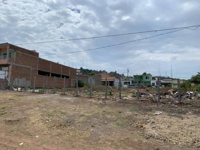 #5303 - Área para Venta en Mazatlán - SL - 2