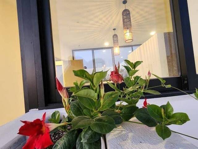 Casa para Venta en Villa de Alvarez - 5