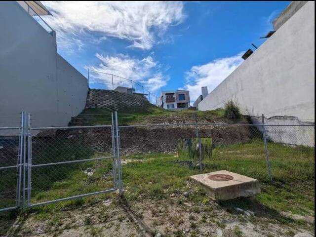 Área para Venta en Tijuana - 4