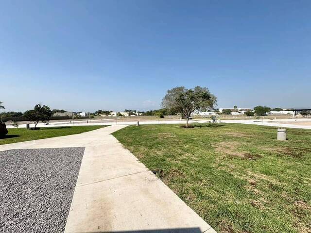 Área para Venta en Colima - 5