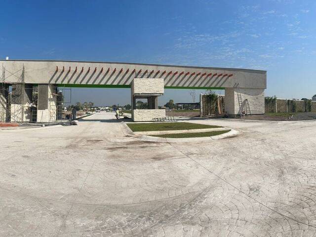 Área para Venta en Colima - 4