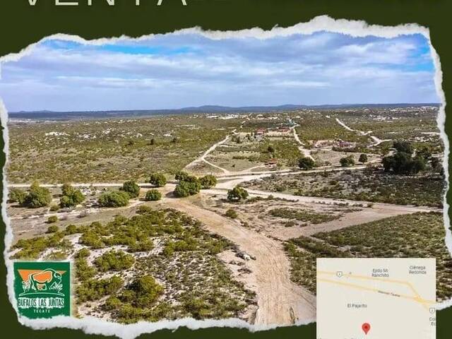 Venta en BUFALOS  - LAS JUNTAS - Tecate