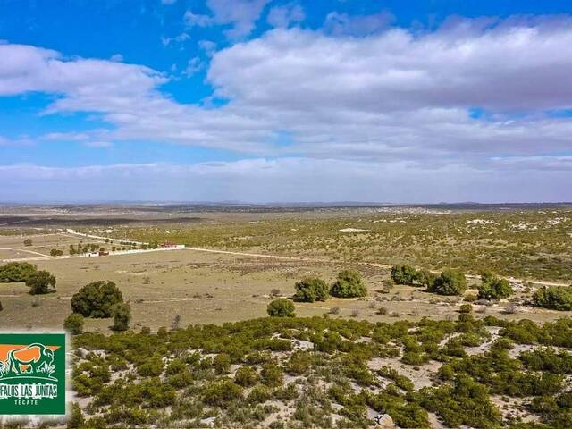 Terreno para Venta en Tecate - 4