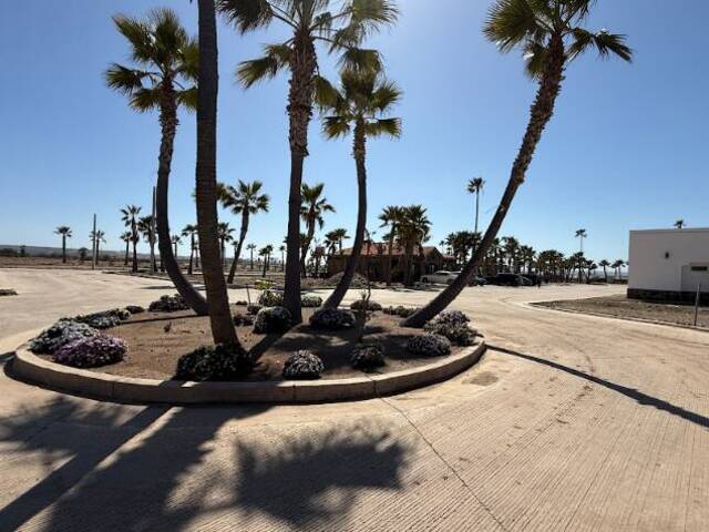 Área para Venta en Ensenada - 5