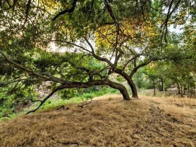 Área para Venta en Ensenada - 5