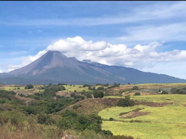 #5852 - Terreno para Venta en Cuauhtémoc - CL - 1