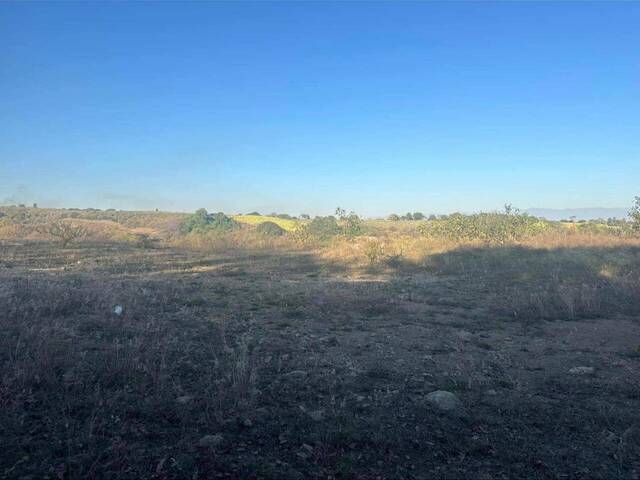#5852 - Terreno para Venta en Cuauhtémoc - CL - 2