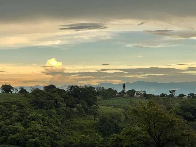 Terreno para Venta en Cuauhtémoc - 5