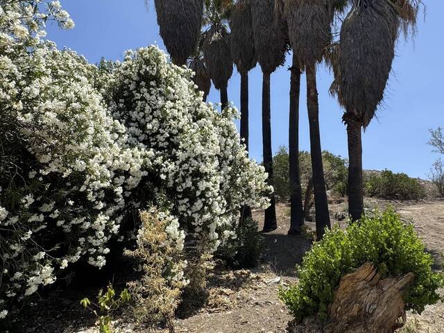 #5985 - Terreno para Venta en Ensenada - BC - 1