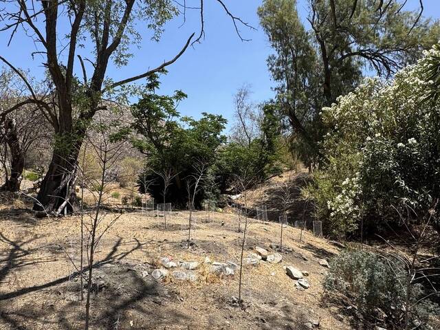 #5985 - Terreno para Venta en Ensenada - BC - 3