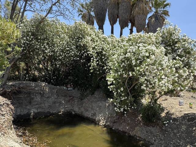 Terreno para Venta en Ensenada - 4