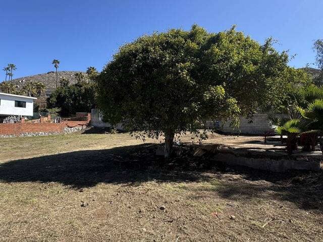 #5989 - Terreno para Venta en Ensenada - BC - 2