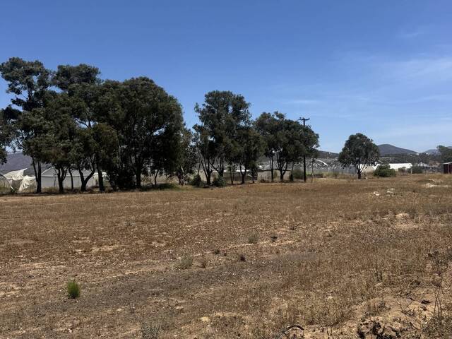Terreno para Venta en Ensenada - 4