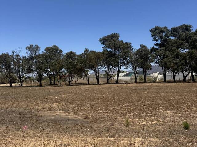 #5993 - Terreno para Venta en Ensenada - BC - 3