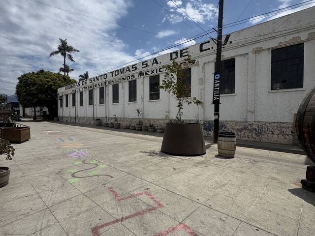 Bodega para Renta en Ensenada - 5